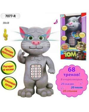 Муз. Кот-Том 7077-R батар.,повтор.речь,сказки,песни,скороговорки,в кор. 32,5*17,5*29,5см